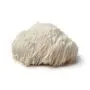 Lion`s Mane [Hericium erinaceus] Bio (Mushrooms4Life) 60 capsules