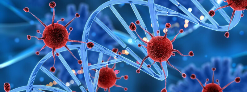 Lysine helpt bij de bestrijding van herpesvirus