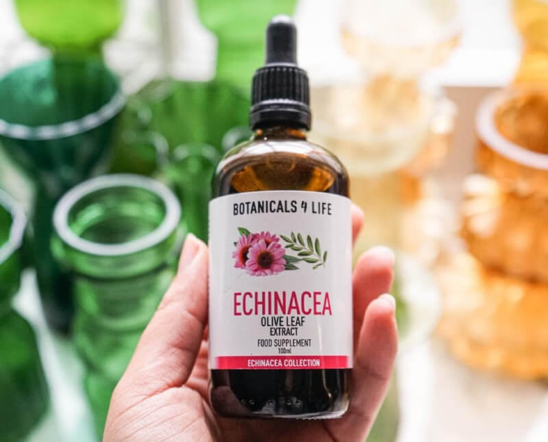 Botanicals4Life - Echinacea tincturen