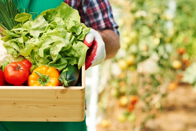 biologisch eten voeding plantaardig