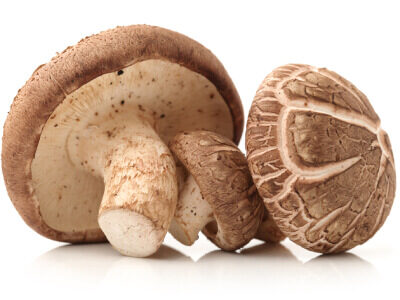 Shiitake paddenstoel