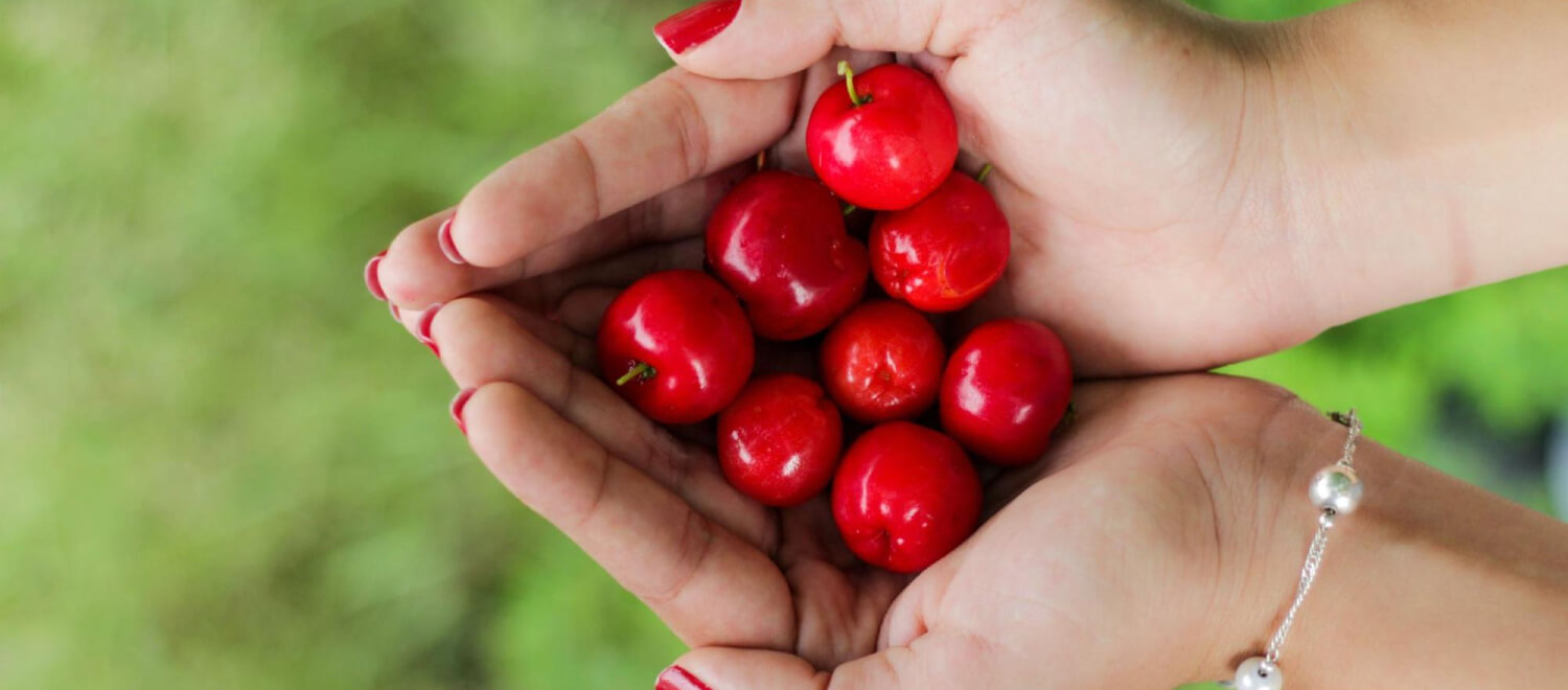 Acerola: 33 keer effectiever dan een sinaasappel