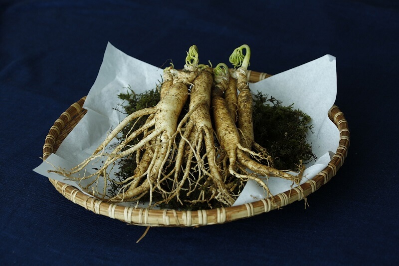 panax ginseng koreaanse ginseng wortel adaptogeen